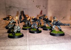 Viridian marines used in a Human Military starter faction 